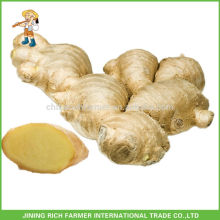 Preço mais recente para China Fresh Ginger